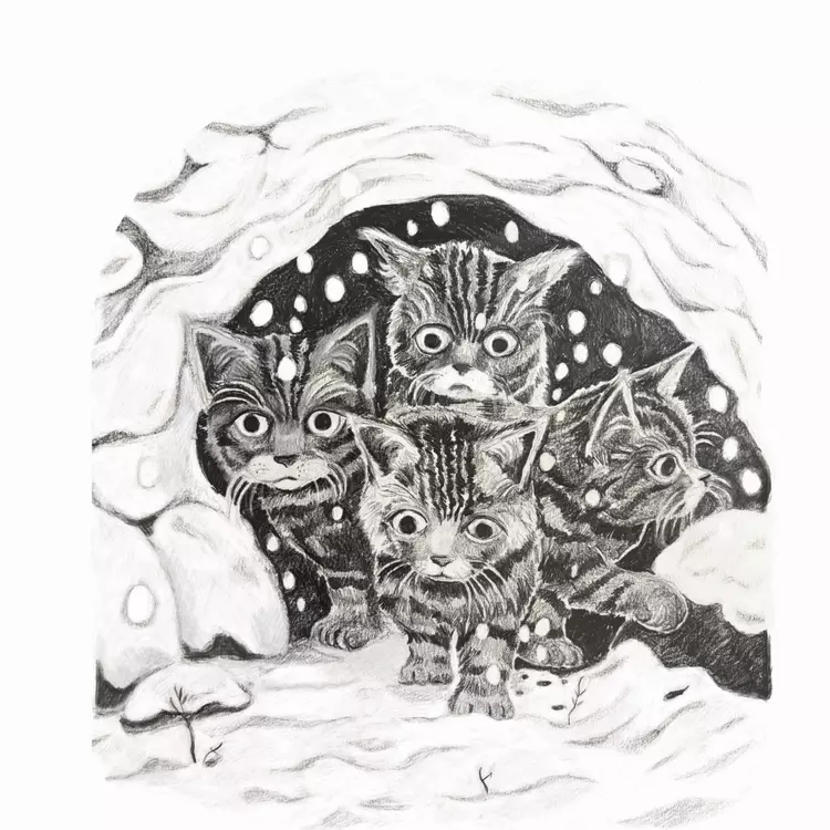 a black and white pencil drawing of wildcat kittens in a snow den for a children&rsquo;s book 